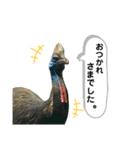 鳥が色々言うスタンプ(forビジネス)（個別スタンプ：14）