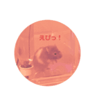 もろこしすたんピ（個別スタンプ：4）