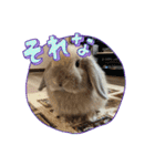 かわいいるーたん（個別スタンプ：4）