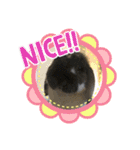 ちょぴまんじゅうせんぱい（個別スタンプ：4）