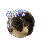 ちょぴまんじゅうせんぱい（個別スタンプ：8）
