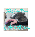 ちょぴまんじゅうせんぱい（個別スタンプ：9）