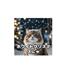 猫の楽しいクリスマス（個別スタンプ：12）