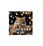 猫の楽しいクリスマス（個別スタンプ：16）