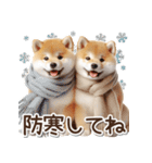 毎日使える冬の柴犬（個別スタンプ：3）