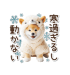 毎日使える冬の柴犬（個別スタンプ：14）