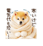 毎日使える冬の柴犬（個別スタンプ：16）