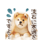 毎日使える冬の柴犬（個別スタンプ：18）