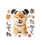 毎日使える冬の柴犬（個別スタンプ：23）