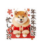 毎日使える冬の柴犬（個別スタンプ：30）