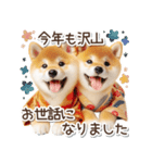 毎日使える冬の柴犬（個別スタンプ：37）