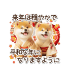 毎日使える冬の柴犬（個別スタンプ：40）