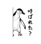 意外と使えるメンタル主人公なペンギン（個別スタンプ：1）