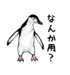 意外と使えるメンタル主人公なペンギン（個別スタンプ：2）