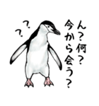 意外と使えるメンタル主人公なペンギン（個別スタンプ：3）