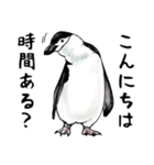 意外と使えるメンタル主人公なペンギン（個別スタンプ：6）