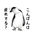 意外と使えるメンタル主人公なペンギン（個別スタンプ：7）