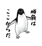 意外と使えるメンタル主人公なペンギン（個別スタンプ：10）