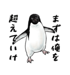 意外と使えるメンタル主人公なペンギン（個別スタンプ：11）