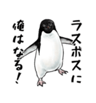 意外と使えるメンタル主人公なペンギン（個別スタンプ：12）