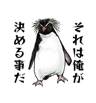 意外と使えるメンタル主人公なペンギン（個別スタンプ：13）