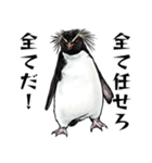 意外と使えるメンタル主人公なペンギン（個別スタンプ：14）