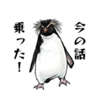 意外と使えるメンタル主人公なペンギン（個別スタンプ：15）