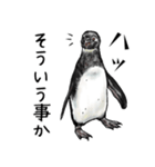 意外と使えるメンタル主人公なペンギン（個別スタンプ：21）