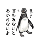 意外と使えるメンタル主人公なペンギン（個別スタンプ：22）