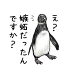 意外と使えるメンタル主人公なペンギン（個別スタンプ：23）