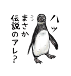 意外と使えるメンタル主人公なペンギン（個別スタンプ：24）