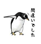 意外と使えるメンタル主人公なペンギン（個別スタンプ：26）