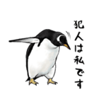 意外と使えるメンタル主人公なペンギン（個別スタンプ：27）