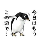 意外と使えるメンタル主人公なペンギン（個別スタンプ：28）