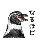 意外と使えるメンタル主人公なペンギン（個別スタンプ：29）