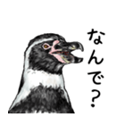 意外と使えるメンタル主人公なペンギン（個別スタンプ：30）