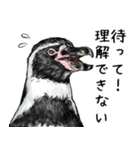 意外と使えるメンタル主人公なペンギン（個別スタンプ：31）