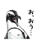 意外と使えるメンタル主人公なペンギン（個別スタンプ：33）