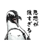 意外と使えるメンタル主人公なペンギン（個別スタンプ：35）