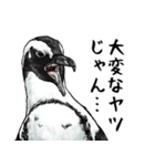 意外と使えるメンタル主人公なペンギン（個別スタンプ：36）