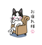 猫のろくちゃんとビーグル犬のうめ（個別スタンプ：3）