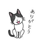 猫のろくちゃんとビーグル犬のうめ（個別スタンプ：4）