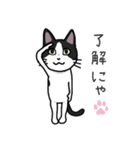 猫のろくちゃんとビーグル犬のうめ（個別スタンプ：7）