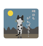 猫のろくちゃんとビーグル犬のうめ（個別スタンプ：13）