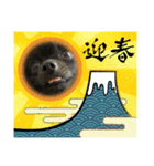 のわみるくvol.2（個別スタンプ：1）
