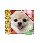 のわみるくvol.2（個別スタンプ：2）
