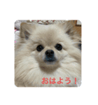 のわみるくvol.2（個別スタンプ：7）
