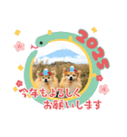 もなか・いろは  年末年始スタンプ♡2025（個別スタンプ：1）