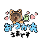 ひろたんpart1（個別スタンプ：11）