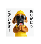 ボクサー犬の現場仕事⭐グラサン犬（個別スタンプ：9）